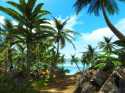 Meraviglioso paesaggio caraibico: palme, piante tropicali, cielo terso e acqua cristallina