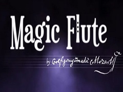 Magic Flute, puzzle a tempo di musica